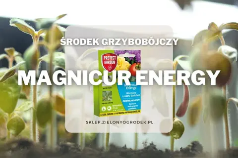 Środek grzybobójczy Magnicur Energy chroni młode rośliny przed chorobami. Zapewnia im energię do zdrowego wzrostu.