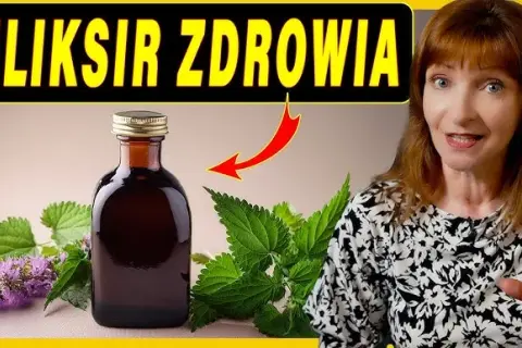 Jak zrobić domowe ekstrakty? Ziołowe eliksiry krok po kroku