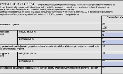 IN-1 czy DN-1? Rozlicz podatek od nieruchomości bez pomyłek
