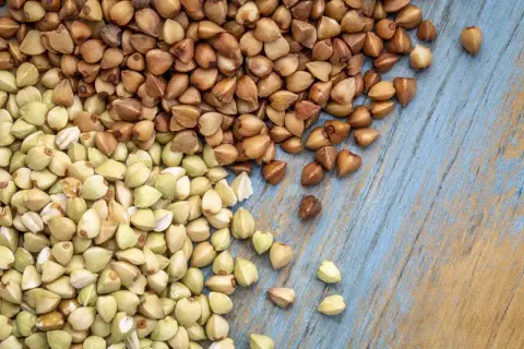 Zielona i brązowa kasza gryczana na niebieskim tle. Czy kasza gryczana ma gluten? Nie, jest bezglutenowa!