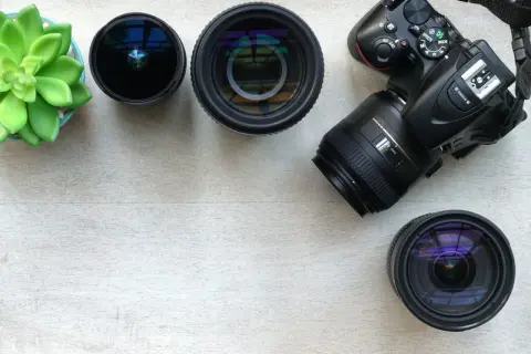 Aparat fotograficzny z obiektywami i zieloną rośliną na jasnym tle.