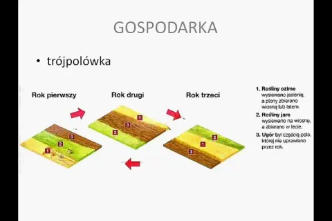 Jak powstawały wsie w średniowieczu - tajemnice kolonizacji i struktury