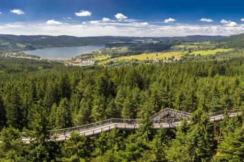 Der Baumwipfelpfad Lipno schlängelt sich durch einen dichten Nadelwald. Im Hintergrund liegt ein See mit einer kleinen Stadt.