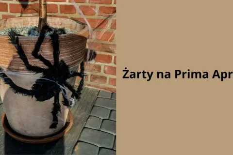 Czarna, włochata pająk ozdabia doniczkę z rośliną, tworząc zabawne żarty na prima aprilis.