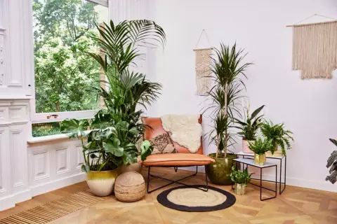 Eine leere Ecke dekorieren: Ein Ledersessel mit Schaffell und Kissen, umgeben von üppigen Zimmerpflanzen und Makramee-Wandbehang.