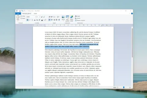 Okno programu WordPad z tekstem.