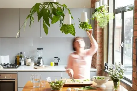 Une femme cueille des herbes aromatiques dans des pots suspendus, une plante pour cuisine idéale pour un repas frais.