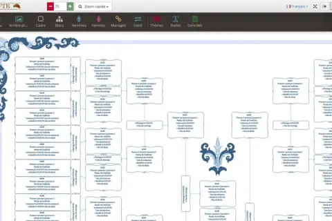 Arbre généalogique complexe affichant des informations sur les individus, les mariages et les lieux. Ce logiciel de généalogie permet de visualiser les liens familiaux.