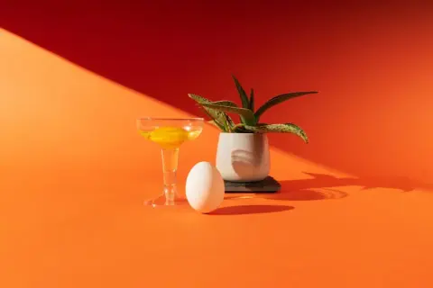 Uovo, bicchiere con tuorlo e pianta in vaso su sfondo arancione. Un'elegante composizione in stile still life moda.