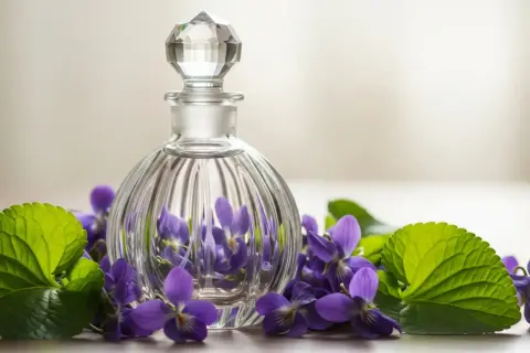 Szklana buteleczka perfum otoczona przez intensywną fiołkę.