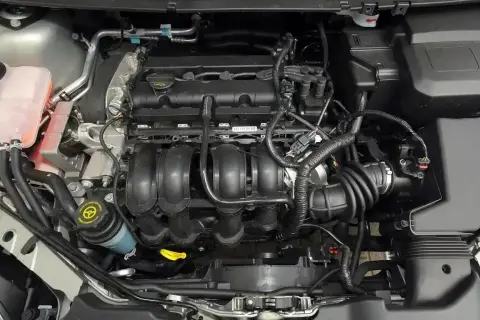 Silnik Ford Focus MK2 1.6 benzyna. Widoczne przewody, kolektor dolotowy i zbiornik płynu wspomagania.