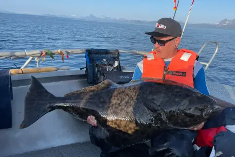 Ein Mann mit orangefarbener Schwimmweste hält einen riesigen Heilbutt auf einem Boot. Ein erfolgreicher Tag beim Sommarøy Angeln mit beeindruckendem Fang.