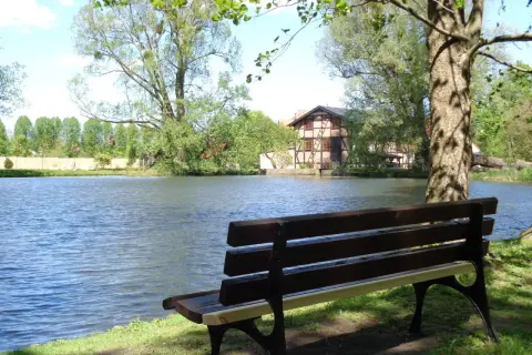 Ławka nad jeziorem, idealne miejsce, gdzie na spacer w Gdańsku. W tle malowniczy dom i bujna zieleń.