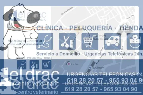 El Drac veterinario: atención profesional y servicios para tu mascota
