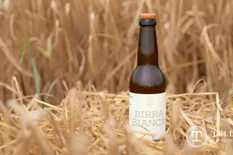 Una bottiglia di birra bianca Tellan, tra spighe dorate, simbolo di birre di qualità.