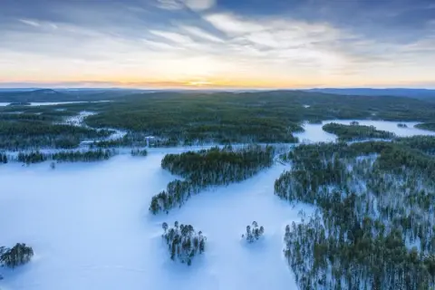 Zimowy krajobraz z zamarzniętym jeziorem, które jest największym jeziorem w Europie. Otoczone lasem sosnowym, pokryte śniegiem.