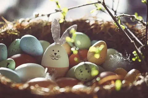 Ein Osternest mit bunten Eiern und einem Hasen-Ei. Ein Symbol für das Christentum und den Neuanfang.