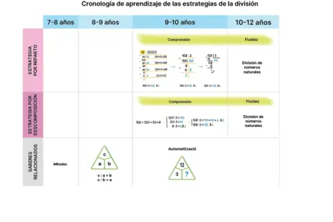 Estrategias de divisiones 5 primaria: reparto, descomposición y automatización. Aprendizaje por edades.