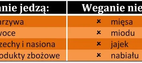 Czego nie można jeść na diecie wegańskiej? Unikaj tych produktów!