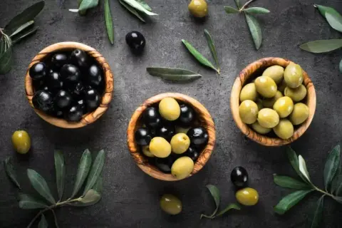 Czy pies może jeść oliwki? Poznaj zasady bezpieczeństwa i zdrowia pupila
