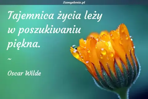 Sekret cytaty Oscara Wilde'a: "Tajemnica życia leży w poszukiwaniu piękna." Na zdjęciu: zbliżenie na pomarańczowy kwiat z kroplami rosy.