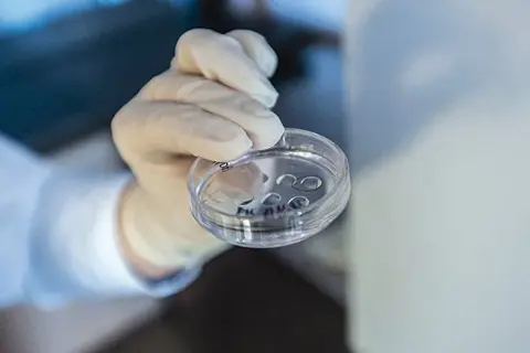 Czy in vitro to grzech? Moralność i kontrowersje w Kościele katolickim