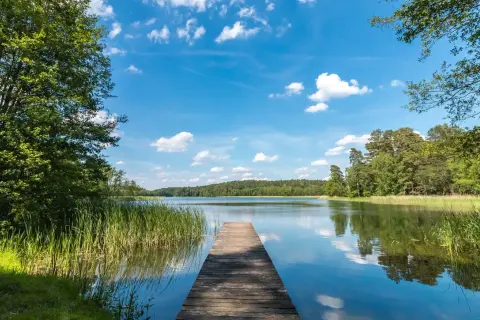 Drewniany pomost prowadzi do spokojnego jeziora w Drawieńskim Parku Narodowym. Otoczone zielenią, z błękitnym niebem i białymi chmurami.
