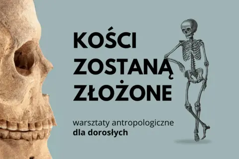 Czaszka i szkielet na tle napisu "Kości zostaną złożone". Warsztaty antropologiczne dla dorosłych.