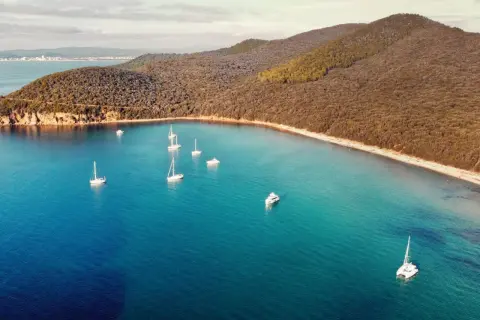 Vela al largo della costa della Maremma Toscana. Il mare azzurro e cristallino abbraccia una baia con diverse barche a vela e un catamarano.