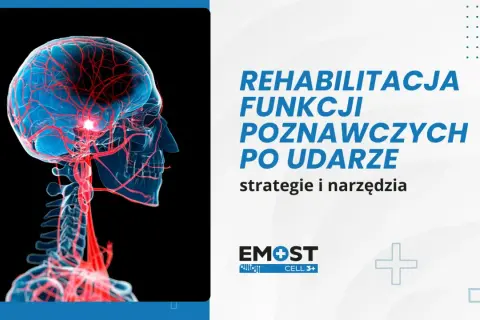 Ilustracja mózgu z naczyniami krwionośnymi, symbolizująca rehabilitację funkcji poznawczych po udarze. Dostępne są karty pracy.