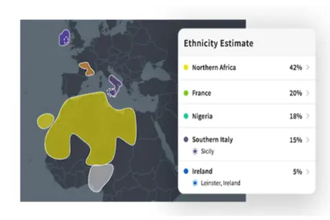 Carte des origines ethniques montrant un résultat ADN avec 42% d'Afrique du Nord, 20% de France, 18% du Nigeria, 15% du Sud de l'Italie et 5% d'Irlande.