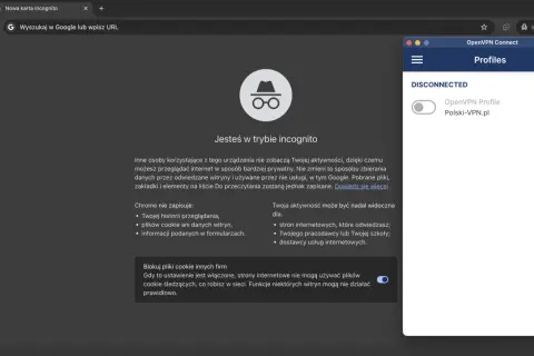 Okno przeglądarki Firefox w trybie incognito. Po prawej panel OpenVPN Connect z profilem "Polski-VPN.pl" rozłączonym.