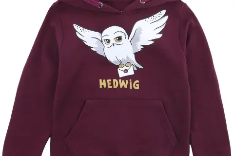 Bluzy Harry Potter dla dziewczynki: Jak wybrać idealną bluzę?
