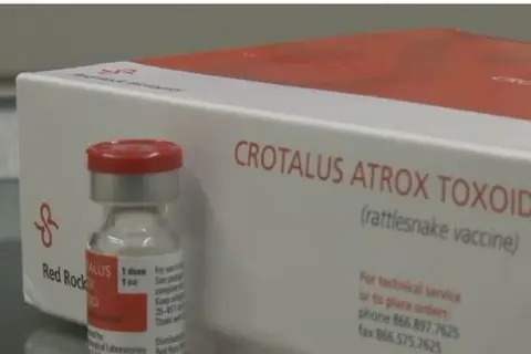 A vial and box of Crotalus Atrox Toxoid, a rattlesnake vaccine for dogs, are shown.