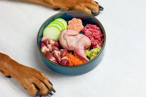 Un nutricionista de perros crea recetas con ingredientes frescos: codorniz, corazones, carne picada, calabacín, zanahoria y apio.