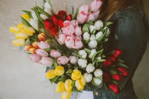Bukieta kolorowych tulipanów trzymana przez osobę w dżinsowej kurtce.