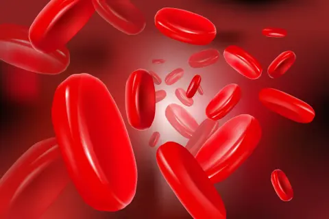 Gros plan sur des globules rouges flottant dans le sang, évoquant la circulation et potentiellement une maladie de Vaquez.
