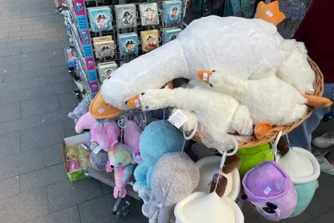 Ile kosztuje pluszowa gęś? Sprawdź ceny i najlepsze oferty