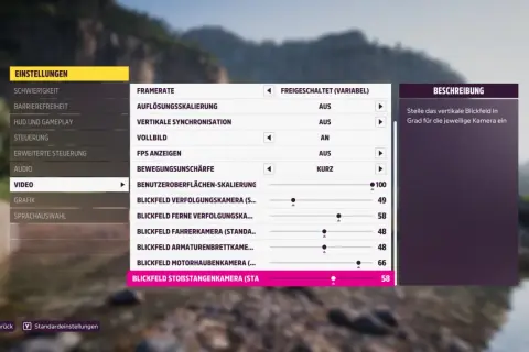 Einstellungen für die Forza Horizon 5 Grafik: Blickfeld-Optionen für verschiedene Kameras.