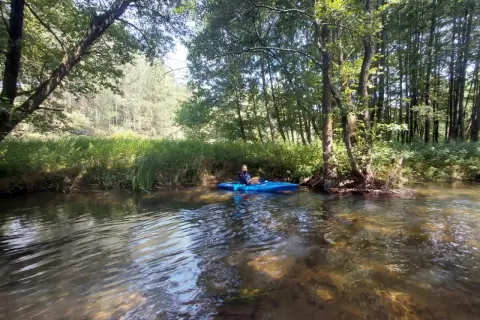 Spokojny rejs kajakiem po malowniczej rzece Radunia. Zielone drzewa i bujna roślinność tworzą idylliczny krajobraz.