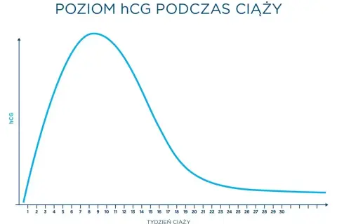 Wykres poziomu beta hCG podczas ciąży. Badanie beta hcg można wykonać niezależnie od tego, czy jest się na czczo.