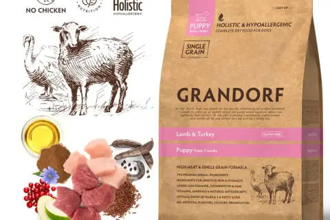 Karma dla szczeniaka pomeraniana: wybierz idealną dietę dla Boo!