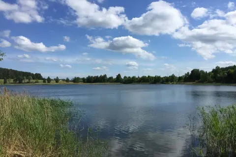 Spokojne jezioro Czarna Hańcza otoczone zielenią, z puszystymi chmurami na błękitnym niebie.