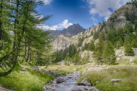 Un ruisseau serpente à travers une prairie verdoyante, bordée d'arbres et de rochers, menant à des montagnes escarpées sous un ciel bleu dans le parc de la Valmasque.