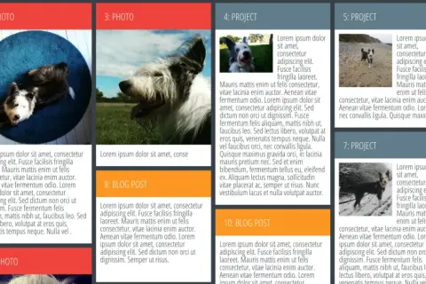 Disposition d'articles de blog et de photos de chiens, organisés en colonnes comme un design masonry CSS.