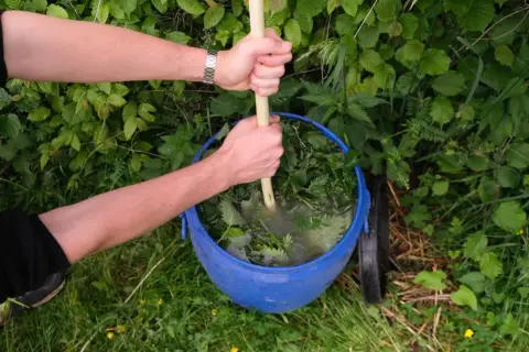 Hände rühren Brennnesseljauche in einem blauen Eimer an. Die Jauche wird mit Wasser und Brennnesseln zubereitet.