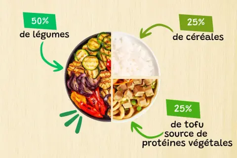 Un bol divisé en quatre : légumes grillés, riz, et tofu, une excellente source de protéines végétales.