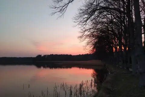 Sonnenuntergang am See mit Bäumen. Die Stille lädt zum Nachdenken ein, fast wie beim Mantra singen.