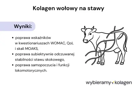 Kolagen wołowy na stawy poprawia wskaźniki, stabilność stawów i samopoczucie. Dowiedz się, co to jest kolagen.