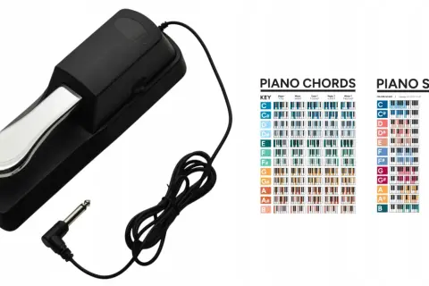 Czarny pedał do keyboardu, idealny do nauki akordów i skal.